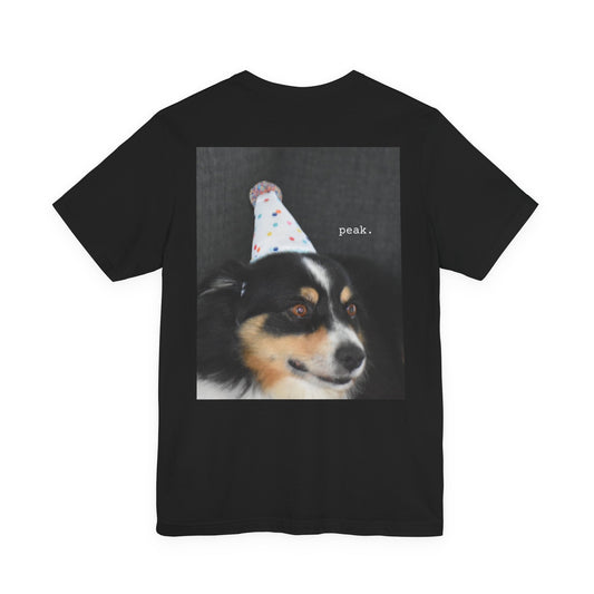 Seymour The Dog - Peak